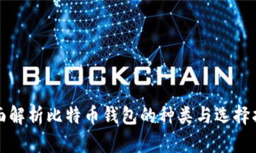 全面解析比特币钱包的种类与选择指南
