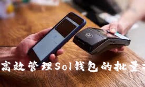 如何高效管理Sol钱包的批量操作？