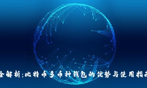 全解析：比特币多币种钱包的优势与使用指南