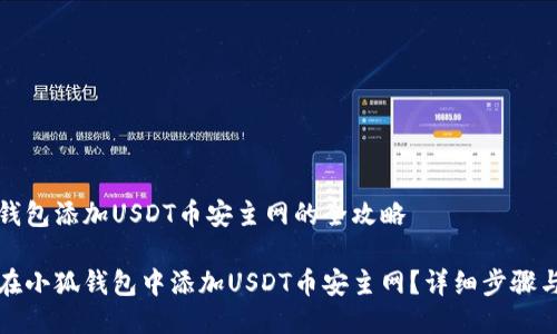 小狐钱包添加USDT币安主网的全攻略

如何在小狐钱包中添加USDT币安主网？详细步骤与技巧