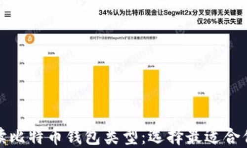 
全面解读比特币钱包类型：选择最适合你的钱包
