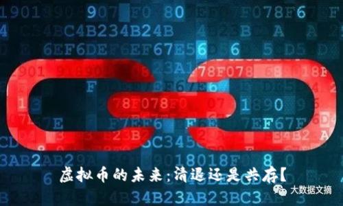 虚拟币的未来：清退还是共存？