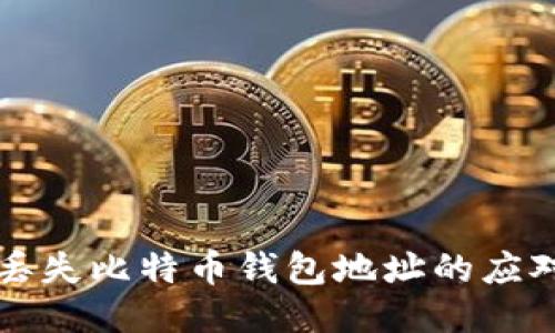 找回丢失比特币钱包地址的应对指南