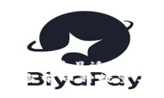 思考一个有吸引力并且适合推广的优秀虚拟币的