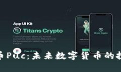 探索虚拟币Puc：未来数字货币的投资新