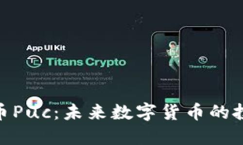 探索虚拟币Puc：未来数字货币的投资新机遇