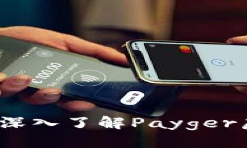 示例：
突破性的金融革命：深入了解Payger虚拟币的未来与潜力