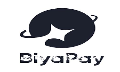 选择最佳比特币钱包的终极指南