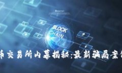 虚拟币交易所内幕揭秘：最新骗局案例