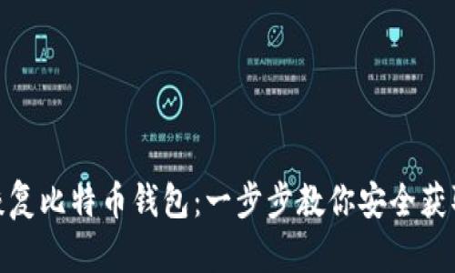 底层镜像恢复比特币钱包：一步步教你安全获取丢失资金