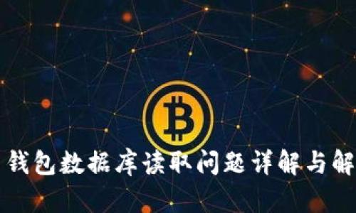 比特币钱包数据库读取问题详解与解决方案