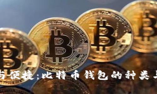 探索安全与便捷：比特币钱包的种类与选择指南