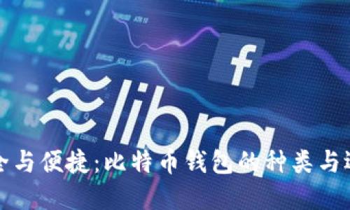 探索安全与便捷：比特币钱包的种类与选择指南