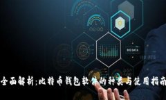 全面解析：比特币钱包软件的种类与使