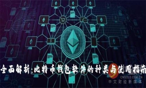 全面解析：比特币钱包软件的种类与使用指南