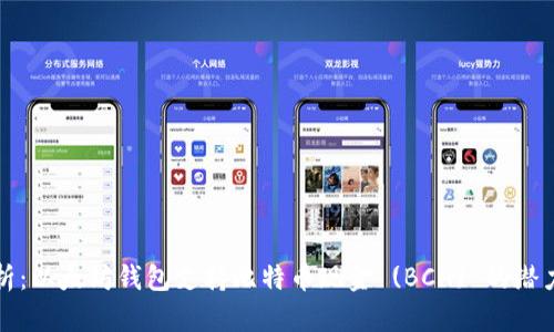 全面解析：以太坊钱包支持比特币现金 (BCH) 的潜力与限度