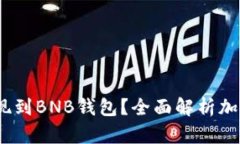 ## SHIB能否提现到BNB钱包？全面解析加