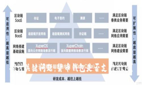 探讨关键问题：货币钱包是否支持XLM？