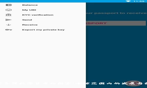 探索合法数字货币的国家：全球范围内的发展与机遇