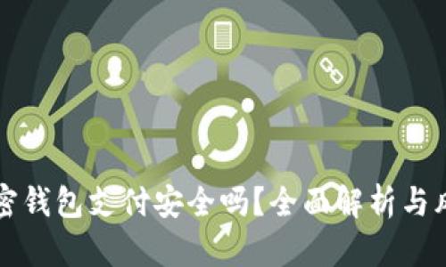 国外加密钱包支付安全吗？全面解析与风险评估
