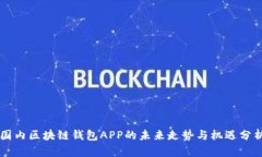 国内区块链钱包APP的未来走势与机遇分