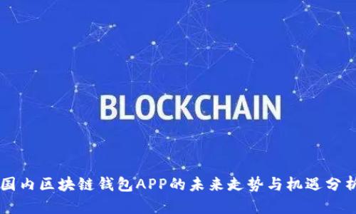 国内区块链钱包APP的未来走势与机遇分析