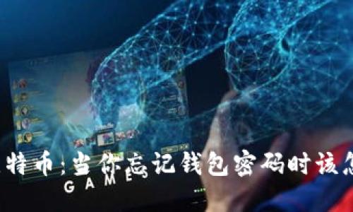 解密比特币：当你忘记钱包密码时该怎么办？