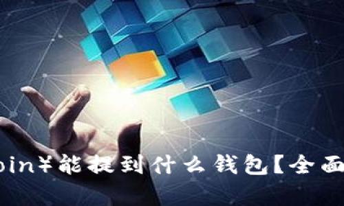 屎币（Shitcoin）能提到什么钱包？全面解析与指南