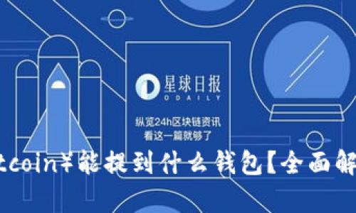 屎币（Shitcoin）能提到什么钱包？全面解析与指南