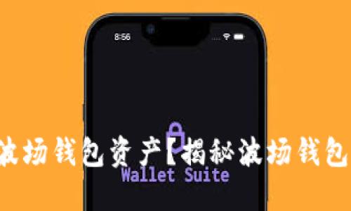 如何高效查询区块链波场钱包资产？揭秘波场钱包使用技巧与查询方法!