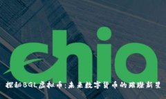 探秘BGL虚拟币：未来数字货币的璀璨新
