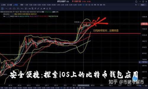 安全便捷：探索iOS上的比特币钱包应用