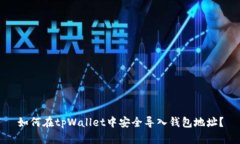 如何在tpWallet中安全导入钱包地址？