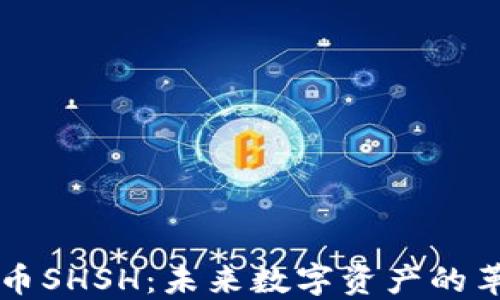 
虚拟币SHSH：未来数字资产的革命者