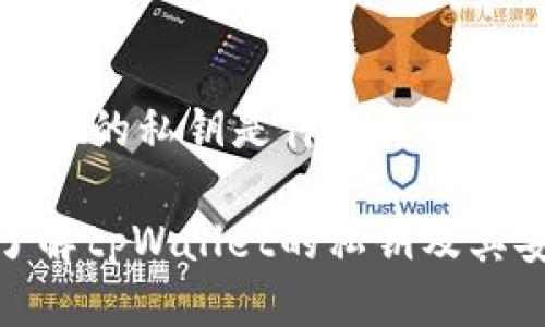 tpWallet的私钥是什么样的？

深入了解tpWallet的私钥及其安全性