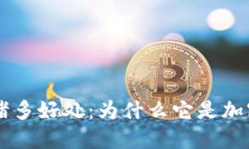 探索Plus Token钱包的诸多好处：为什么它是加密货币爱好者的理想选择