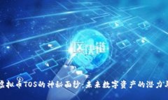 揭开虚拟币TOS的神秘面纱：未来数字资