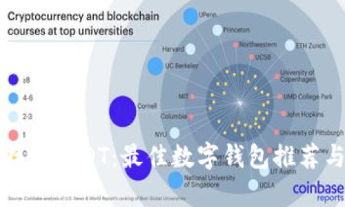 如何安全存放USDT：最佳数字钱包推荐与选购指南