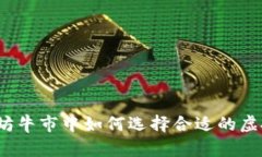 在以太坊牛市中如何选择合适的虚拟钱