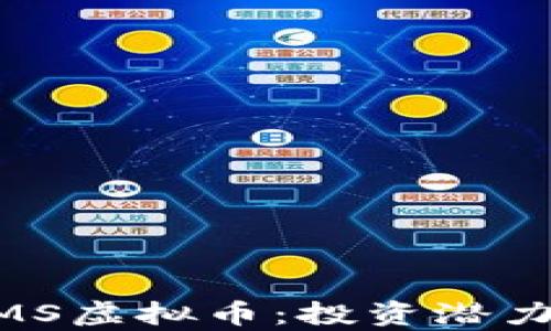
深入了解NMS虚拟币：投资潜力与风险分析