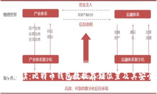 深入解读：比特币钱包数据存储位置及其安全性