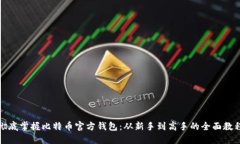 彻底掌握比特币官方钱包：从新手到高