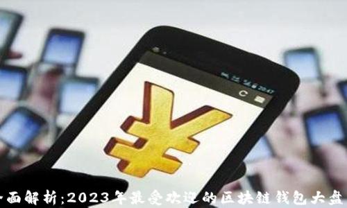 
全面解析：2023年最受欢迎的区块链钱包大盘点