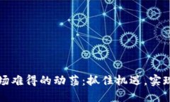 虚拟币市场难得的动荡：抓住机遇，实