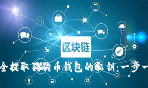 如何安全提取狗狗币钱包的私钥：一步一步指南