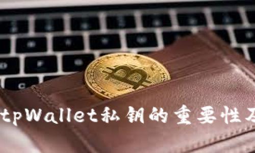 : 深入解析：tpWallet私钥的重要性及其安全管理