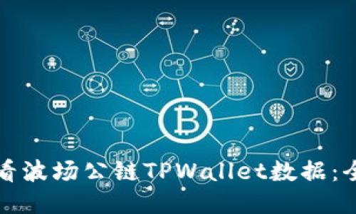 如何查看波场公链TPWallet数据：全面指南
