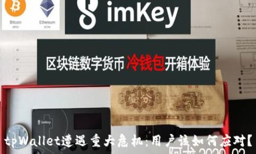   
tpWallet遭遇重大危机：用户该如何应对？