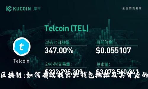 揭秘区块链：如何有效找出大钱包地址及其背后的价值