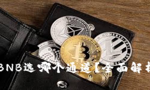 tpWallet转BNB选哪个通道？全面解析及实用指南